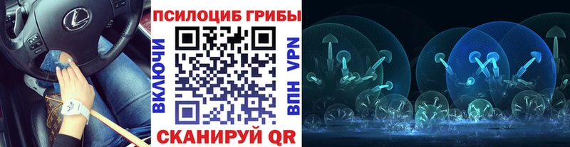 что такое наркотик  Белгород  Псилоцибиновые грибы Psilocybe 