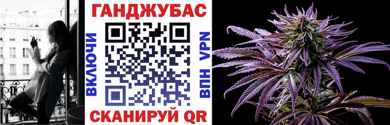 Бошки Шишки план  Белгород 